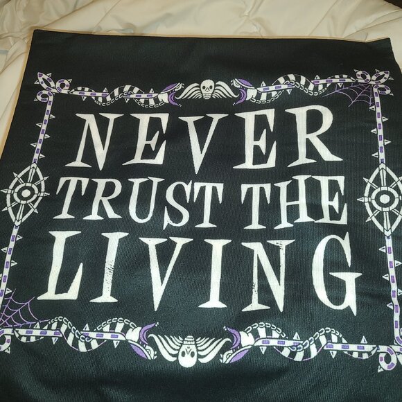 Beetlejuice Pillow Case 18*18 - Picture 1 of 1